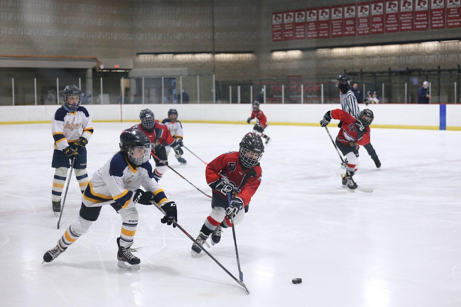 Global Opportunities for Hockey Enthusiasts