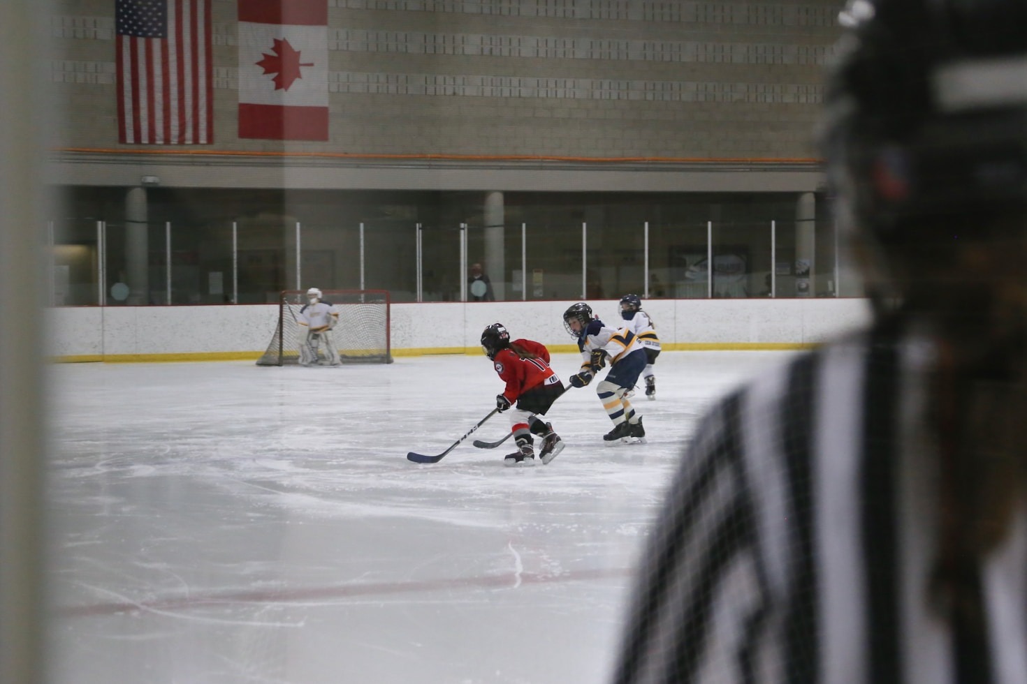 Exploring the Benefits of a Unified Hockey Platform